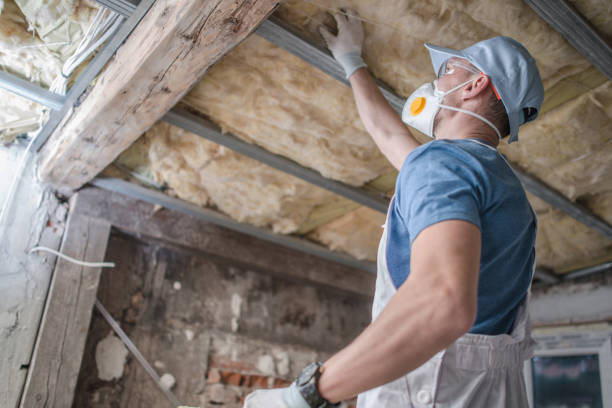 Best Blown-in Insulation in Dunlap, IL