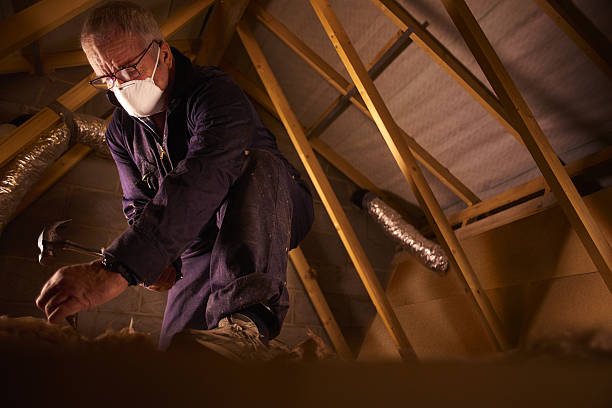 Best Cellulose Insulation in Dunlap, IL